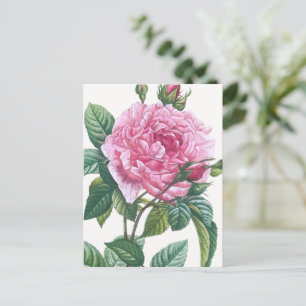 Rosa Blume mit grünen Blätter Postkarte
