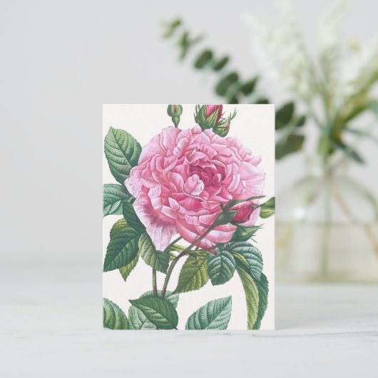 Rosa Blume mit grünen Blätter Postkarte (Stehend Vorderseite)