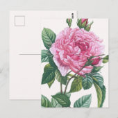 Rosa Blume mit grünen Blätter Postkarte (Vorne/Hinten)