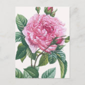 Rosa Blume mit grünen Blätter Postkarte (Vorderseite)