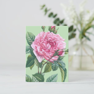 Rosa Blume mit grünen Blätter Postkarte