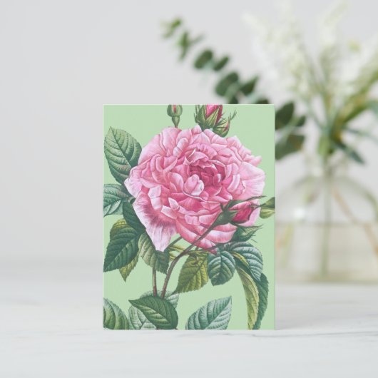 Rosa Blume mit grünen Blätter Postkarte (Stehend Vorderseite)