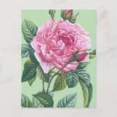 Rosa Blume mit grünen Blätter Postkarte (Vorderseite)