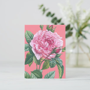 Rosa Blume mit grünen Blätter Postkarte