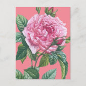 Rosa Blume mit grünen Blätter Postkarte (Vorderseite)
