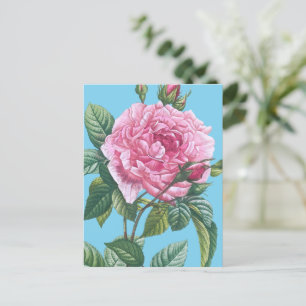 Rosa Blume mit grünen Blätter Postkarte