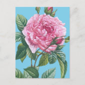 Rosa Blume mit grünen Blätter Postkarte (Vorderseite)
