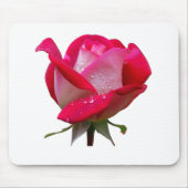 Rosa Blume mit Wassertropfen Vintag Mousepad (Vorne)