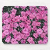 Rosa Blume Mousepad (Vorne)