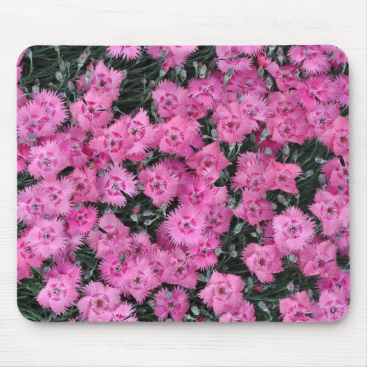 Rosa Blume Mousepad (Vorne)