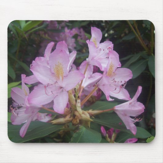 Rosa Blume Mousepad (Vorne)