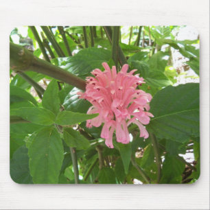 Rosa Blume Mousepad