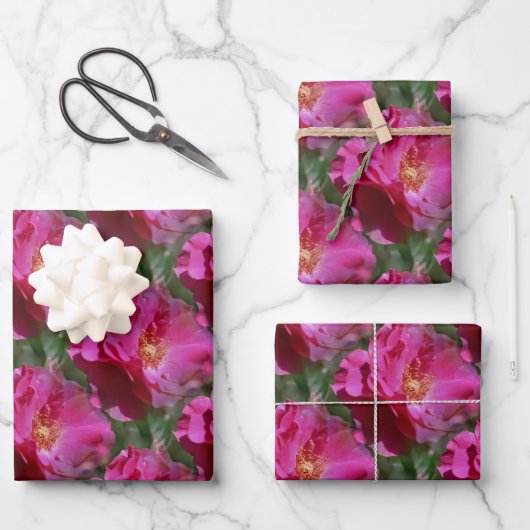 Rosa Blume Muster Natur Geschenkpapier Set (Vorderseite)
