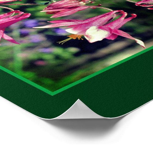 Rosa Blume Nah Abstrakt Poster (Ecke)