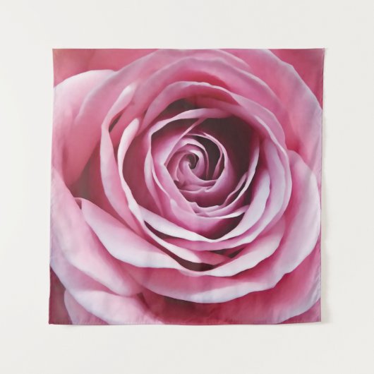 Rosa Blume, nah, Rose Wandteppich (Vorderseite)