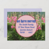 Rosa Blume Neue Postkarte Wir bewegen uns (Vorne/Hinten)