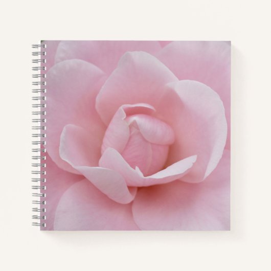 Rosa Blume Notebook Notizblock (Vorderseite)