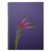 Rosa Blume Notebook Notizblock (Vorderseite)