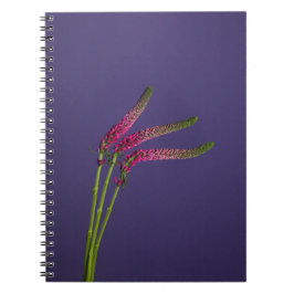 Rosa Blume Notebook Notizblock
