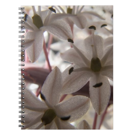 Rosa Blume Notebook Notizblock (Vorderseite)