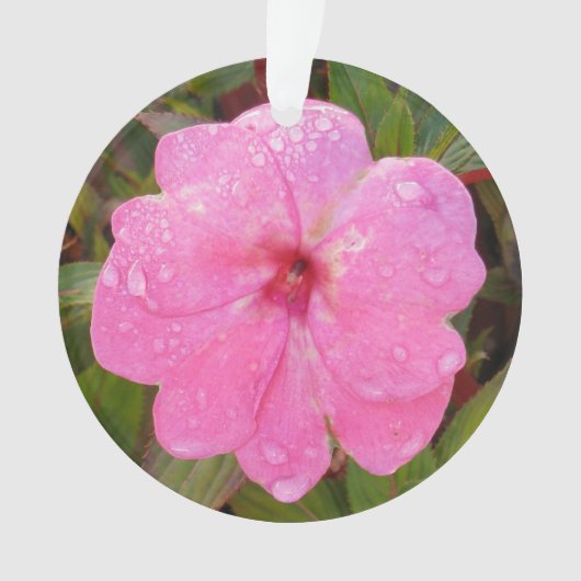 Rosa Blume Ornament (Vorderseite)