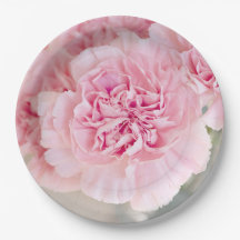Rosa Blume