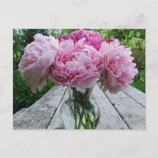 Rosa Blume/Peony-Anordnung in Vase Postkarte