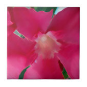 Rosa Blume Petals Fliese (Vorderseite)