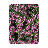 Rosa Blume Phlox Gartenbedeckung Magnet (Vertikal)