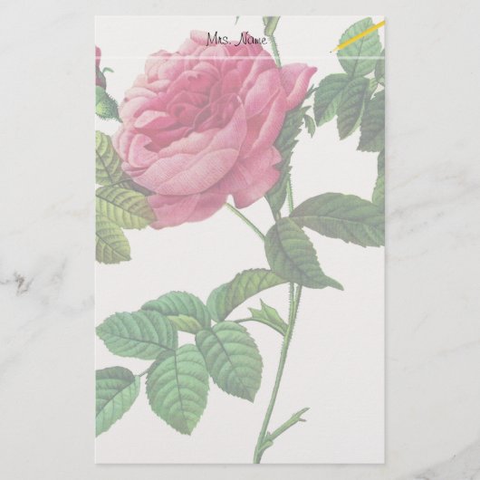 Rosa Blume, Pierre Joseph Redouté Briefpapier (Vorderseite)