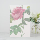 Rosa Blume, Pierre Joseph Redouté Briefpapier (Stehend Vorderseite)