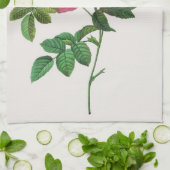 Rosa Blume, Pierre Joseph Redouté Geschirrtuch (Gefaltet)