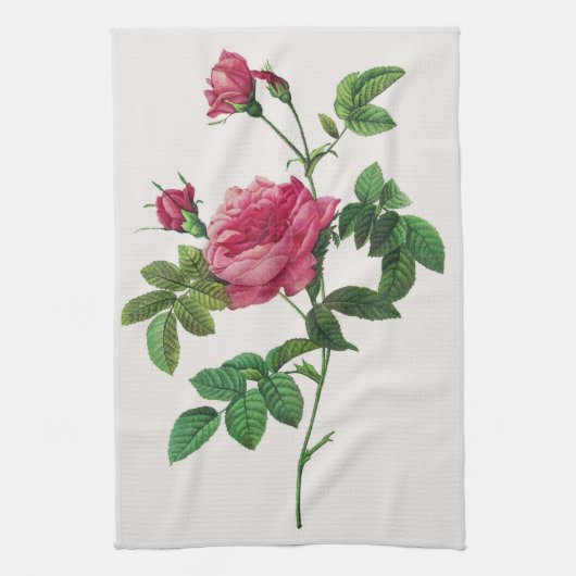 Rosa Blume, Pierre Joseph Redouté Geschirrtuch (Vertikal)