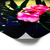 Rosa Blume Poster (Ecke)