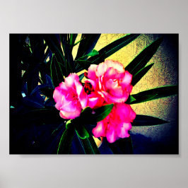 Rosa Blume Poster