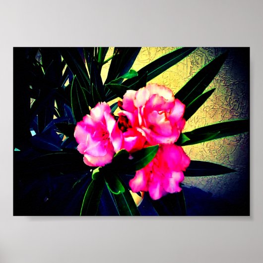 Rosa Blume Poster (Vorne)