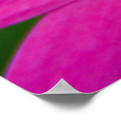 rosa Blume Poster (Ecke)