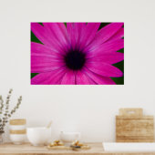 rosa Blume Poster (Küche)