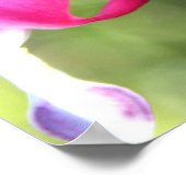 Rosa Blume Poster (Ecke)