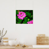 Rosa Blume Poster (Küche)