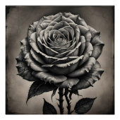 Rosa Blume Poster (Vorderseite)