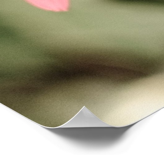 rosa Blume Poster (Ecke)