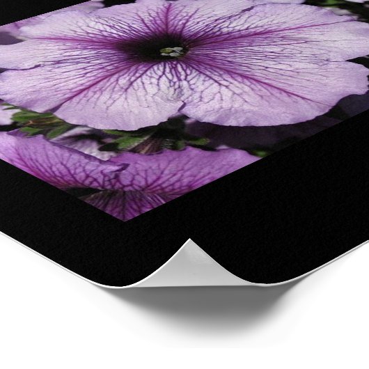 Rosa Blume Poster (Ecke)