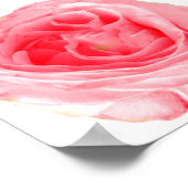 Rosa Blume Poster (Ecke)