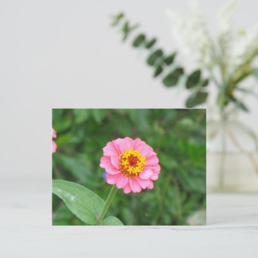 rosa Blume Postkarte (Stehend Vorderseite)