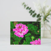 Rosa Blume Postkarte (Stehend Vorderseite)