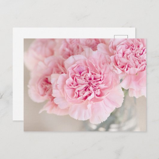 Rosa Blume Postkarte (Vorne/Hinten)