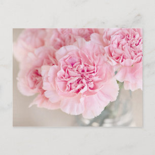 Rosa Blume Postkarte