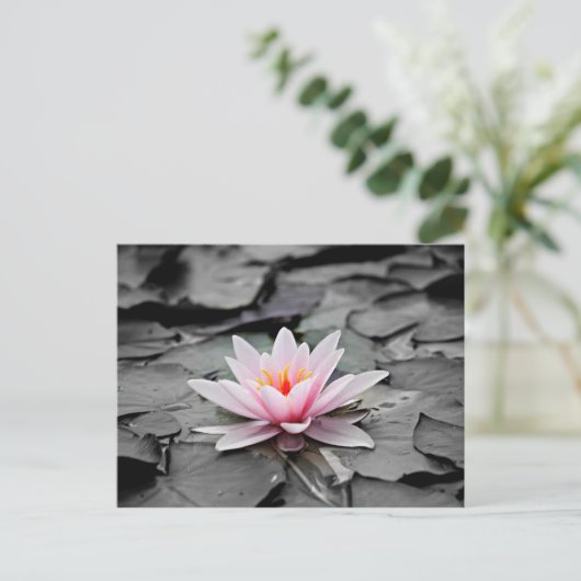 Rosa Blume Postkarte (Stehend Vorderseite)