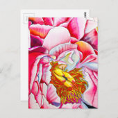 Rosa Blume Postkarte (Vorne/Hinten)